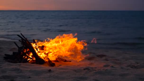 Палаючий вогонь на пляжі, літній вечір. Боєголовка в природі як тло. Спалювання деревини на білому піщаному березі під час заходу сонця . — стокове відео