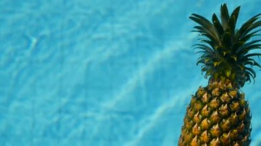 Ananas yüzen içinde mavi su içinde Yüzme Havuzu. Sağlıklı ham organik gıda. Sulu meyve. Egzotik tropik arka plan