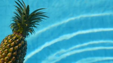 Ananas yüzen içinde mavi su içinde Yüzme Havuzu. Sağlıklı ham organik gıda. Sulu meyve. Egzotik tropik arka plan