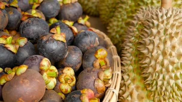 Gemengd seizoen tropisch zoet sappig fruit, lokale markt van Thailand. Grote Monthong Durian en de Mangostan — Stockvideo