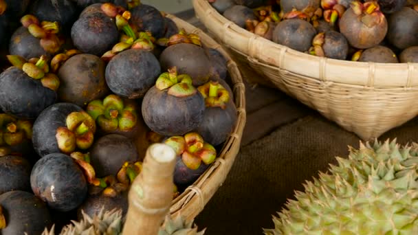 Fruits juteux doux tropicaux de saison mixte, marché local de Thaïlande. Grand mois Durian et mangoustan — Video