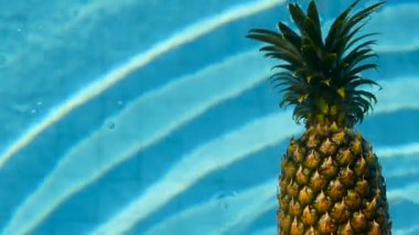 Ananas yüzen içinde mavi su içinde Yüzme Havuzu. Sağlıklı ham organik gıda. Sulu meyve. Egzotik tropik arka plan