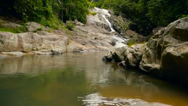 Cenário de floresta tropical e rio com rochas. Floresta tropical profunda. Selva com árvores sobre riacho rochoso rápido . — Vídeo de Stock