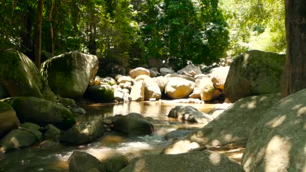 Paesaggio di foresta pluviale e fiume con rocce. Foresta tropicale profonda. Giungla con alberi sopra veloce torrente roccioso . — Video Stock