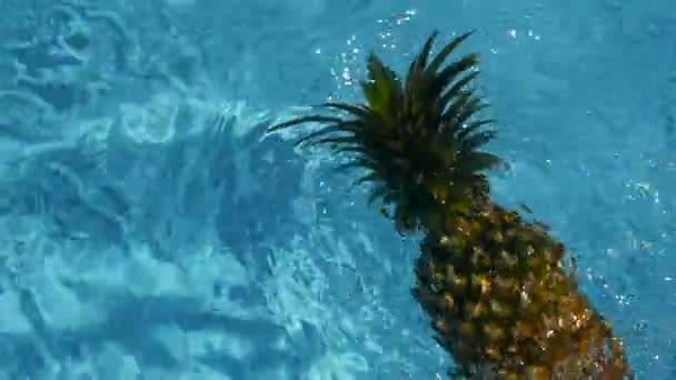 Ananas plovoucí v modré vody v bazénu. Zdravé syrové organické potraviny. Šťavnaté ovoce. Exotické tropické pozadí — Stock video