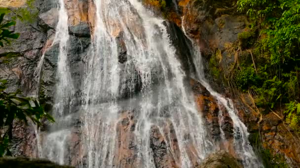 Jungle paradise landscape of tropical country. Waterfall cascade in green rain forest. Motion of water flow from cliff — Stock Video