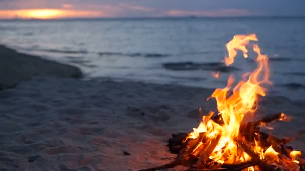 Fogata ardiente en la playa, tarde de verano. Hoguera en la naturaleza como fondo. La quema de madera en la orilla de arena blanca al atardecer . — Vídeos de Stock