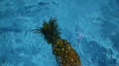 Ananas yüzen içinde mavi su içinde Yüzme Havuzu. Sağlıklı ham organik gıda. Sulu meyve. Egzotik tropik arka plan