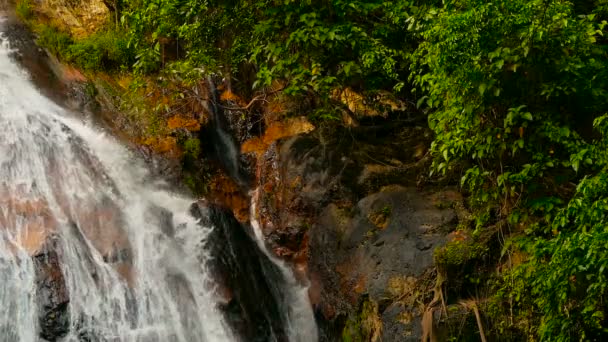 Jungle paradise landscape of tropical country. Waterfall cascade in green rain forest. Motion of water flow from cliff — Stock Video