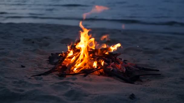 Fogata ardiente en la playa, tarde de verano. Hoguera en la naturaleza como fondo. La quema de madera en la orilla de arena blanca al atardecer . — Vídeos de Stock