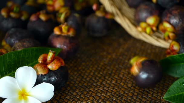 Vue de dessus des mangoustans frais et délicieux récoltés sur une table en bois. Thaï fruits violets bio dans le panier . — Video