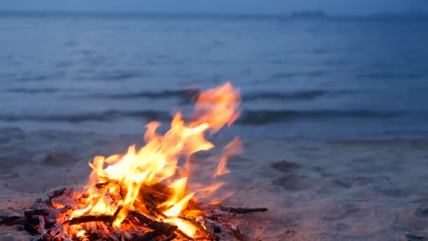 Feu de camp flamboyant sur la plage, soirée d'été. Feu de joie dans la nature comme arrière-plan. Brûler du bois sur le rivage de sable blanc au coucher du soleil . — Video