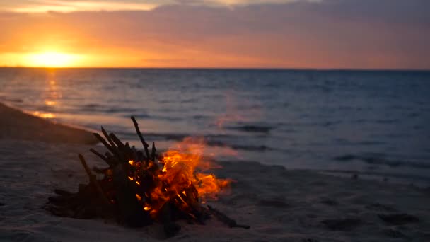 Fuoco in spiaggia, sera d'estate. Falò in natura come sfondo. Legno ardente sulla spiaggia di sabbia bianca al tramonto . — Video Stock
