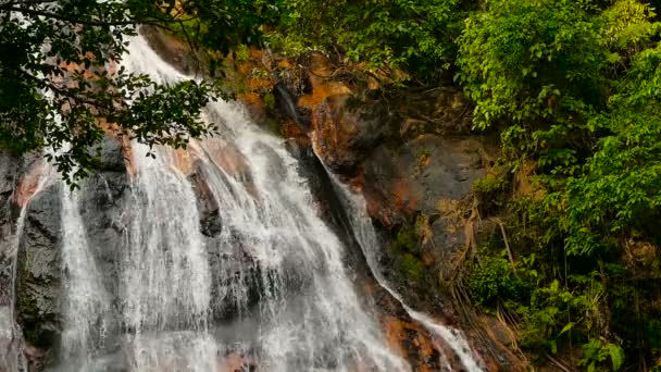 Jungle paradise landscape of tropical country. Waterfall cascade in green rain forest. Motion of water flow from cliff — Stock Video