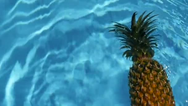 Ananas flytande i blå vatten i poolen. Friska Raw ekologisk mat. Saftiga frukter. Exotiska tropiska bakgrunden — Stockvideo