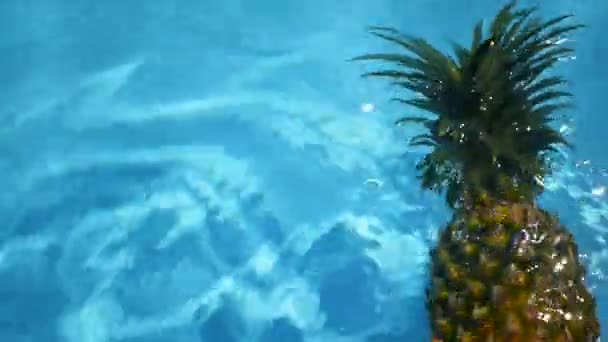 Ανανάς επιπλέουν στο μπλε νερό στην πισίνα. Raw οργανικό υγιεινά. Ζουμερά φρούτα. Εξωτικά τροπικά φόντο — Αρχείο Βίντεο