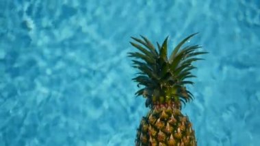 Ananas yüzen içinde mavi su içinde Yüzme Havuzu. Sağlıklı ham organik gıda. Sulu meyve. Egzotik tropik arka plan