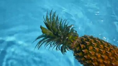 Ananas yüzen içinde mavi su içinde Yüzme Havuzu. Sağlıklı ham organik gıda. Sulu meyve. Egzotik tropik arka plan
