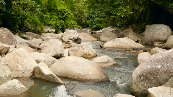 Cenário de floresta tropical e rio com rochas. Floresta tropical profunda. Selva com árvores sobre riacho rochoso rápido . — Vídeo de Stock