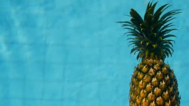 Ananas yüzen içinde mavi su içinde Yüzme Havuzu. Sağlıklı ham organik gıda. Sulu meyve. Egzotik tropik arka plan