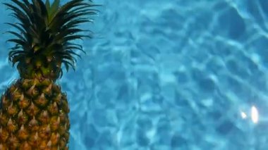 Ananas yüzen içinde mavi su içinde Yüzme Havuzu. Sağlıklı ham organik gıda. Sulu meyve. Egzotik tropik arka plan