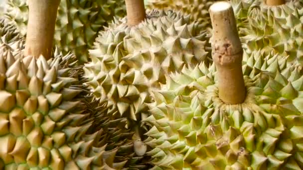 Азиатский король фруктов Durian находится на прилавке в ночном рынке в Таиланде — стоковое видео