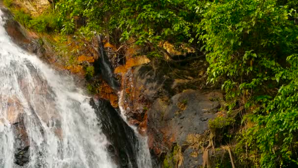 Jungle paradise landscape of tropical country. Waterfall cascade in green rain forest. Motion of water flow from cliff — Stock Video