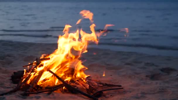 Fogata ardiente en la playa, tarde de verano. Hoguera en la naturaleza como fondo. La quema de madera en la orilla de arena blanca al atardecer . — Vídeos de Stock
