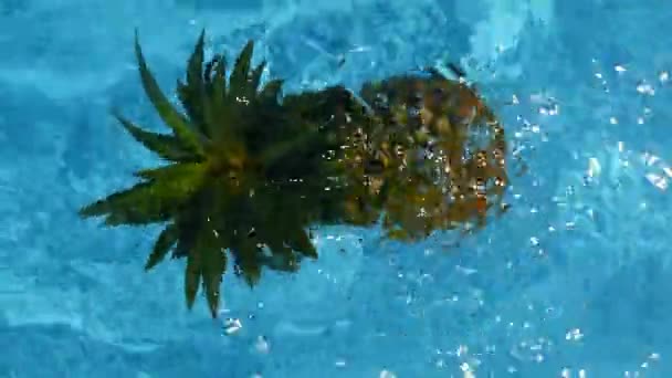 Abacaxi flutuando na água azul na piscina. Alimentos orgânicos crus saudáveis. Fruta suculenta. Fundo tropical exótico — Vídeo de Stock