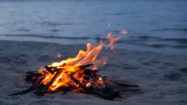 Blazing kampvuur op het strand, zomeravond. Vreugdevuur in de natuur als achtergrond. Verbranden van hout op witte zand strand bij zonsondergang. — Stockvideo