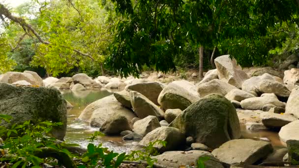 Scenery of rainforest and river with rocks. Deep tropical forest. Jungle with trees over fast rocky stream. — Stock Video