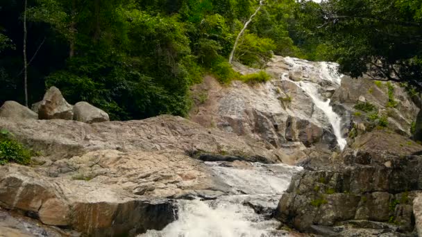 Landschaft aus Regenwald und Fluss mit Felsen. Tiefe Tropenwälder. Dschungel mit Bäumen über schnellen felsigen Bach. — Stockvideo