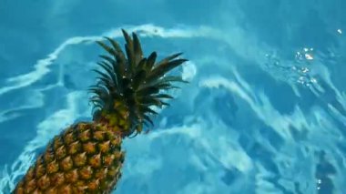 Ananas yüzen içinde mavi su içinde Yüzme Havuzu. Sağlıklı ham organik gıda. Sulu meyve. Egzotik tropik arka plan