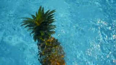 Ananas yüzen içinde mavi su içinde Yüzme Havuzu. Sağlıklı ham organik gıda. Sulu meyve. Egzotik tropik arka plan