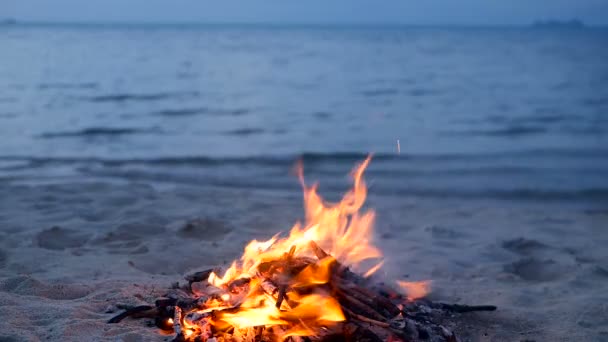 Płonące ognisko na plaży, letni wieczór. Ognisko w przyrodzie jako tło. Spalanie drewna na biały brzeg piasek o zachodzie słońca. — Wideo stockowe