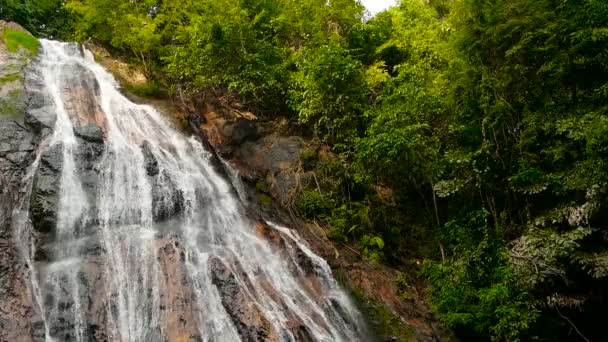 Jungle paradise landscape of tropical country. Waterfall cascade in green rain forest. Motion of water flow from cliff — Stock Video