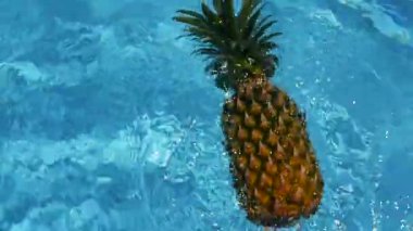 Ananas yüzen içinde mavi su içinde Yüzme Havuzu. Sağlıklı ham organik gıda. Sulu meyve. Vejetaryen, Vegan beslenme, vitaminler, diyet, yaz tatili, tatil kavramları. Egzotik tropik arka plan
