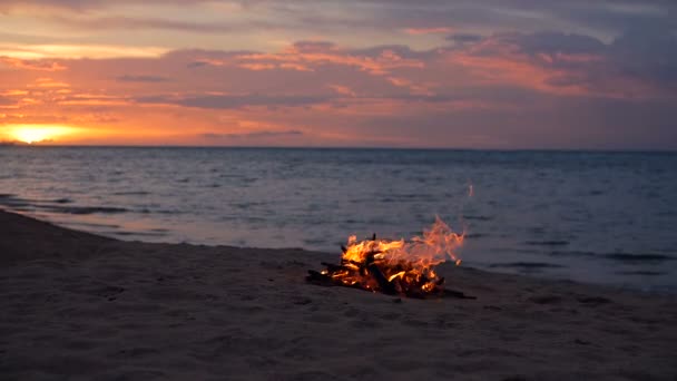 Blazing kampvuur op het strand, zomeravond. Vreugdevuur in de natuur als achtergrond. Verbranden van hout op witte zand strand bij zonsondergang. — Stockvideo