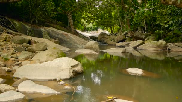 Táj az esőerdők és a folyó és sziklák. Mély trópusi erdő. Dzsungel a fák fölött gyorsan Köves patak. — Stock videók