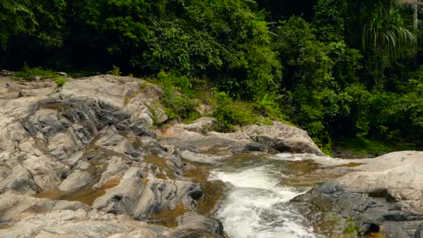 Paesaggio di foresta pluviale e fiume con rocce. Foresta tropicale profonda. Giungla con alberi sopra veloce torrente roccioso . — Video Stock