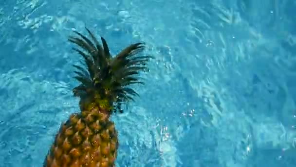 Ananas schwimmt im blauen Wasser im Schwimmbad. gesunde biologische Rohkost. saftige Früchte. exotischer tropischer Hintergrund — Stockvideo