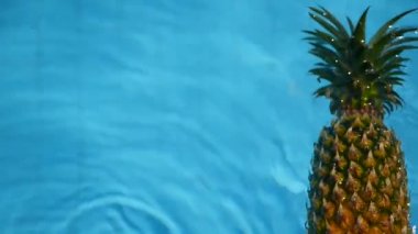 Ananas yüzen içinde mavi su içinde Yüzme Havuzu. Sağlıklı ham organik gıda. Sulu meyve. Egzotik tropik arka plan