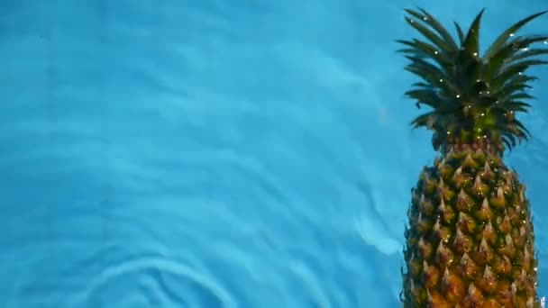在游泳池的蓝色水中漂浮的菠萝。健康生有机食品。多汁的水果。异国情调的热带背景 — 图库视频影像
