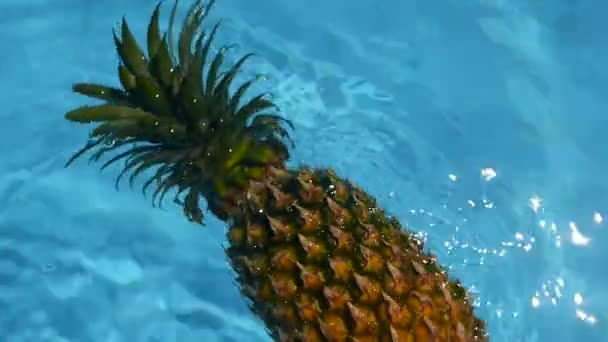 Abacaxi flutuando na água azul na piscina. Alimentos orgânicos crus saudáveis. Fruta suculenta. Fundo tropical exótico — Vídeo de Stock