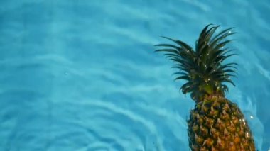 Ananas yüzen içinde mavi su içinde Yüzme Havuzu. Sağlıklı ham organik gıda. Sulu meyve. Egzotik tropik arka plan