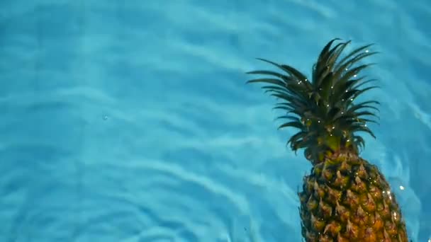 Abacaxi flutuando na água azul na piscina. Alimentos orgânicos crus saudáveis. Fruta suculenta. Fundo tropical exótico — Vídeo de Stock