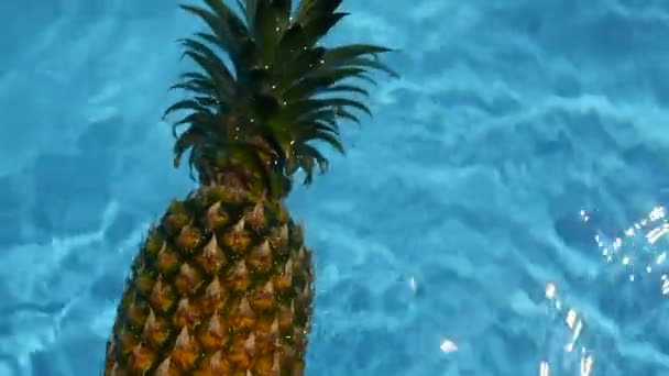 在游泳池的蓝色水中漂浮的菠萝。健康生有机食品。多汁的水果。异国情调的热带背景 — 图库视频影像