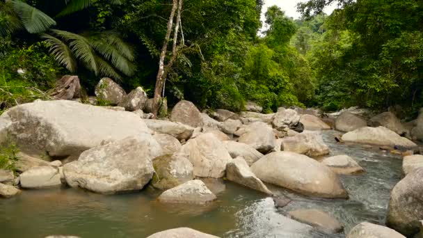 Paesaggio di foresta pluviale e fiume con rocce. Foresta tropicale profonda. Giungla con alberi sopra veloce torrente roccioso . — Video Stock