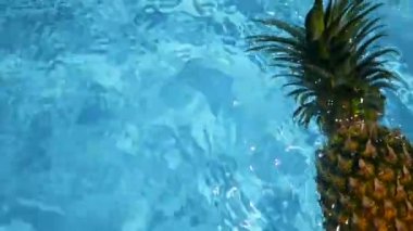 Ananas yüzen içinde mavi su içinde Yüzme Havuzu. Sağlıklı ham organik gıda. Sulu meyve. Egzotik tropik arka plan