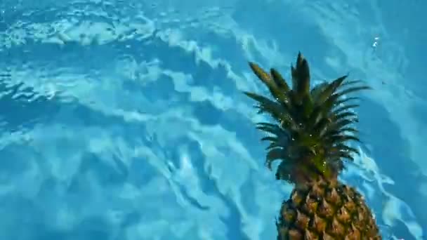 Ανανάς επιπλέουν στο μπλε νερό στην πισίνα. Raw οργανικό υγιεινά. Ζουμερά φρούτα. Εξωτικά τροπικά φόντο — Αρχείο Βίντεο